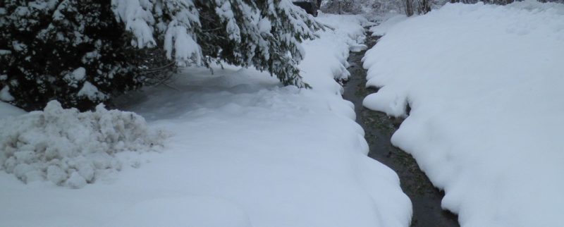 Cross-country skiing the Bekshires