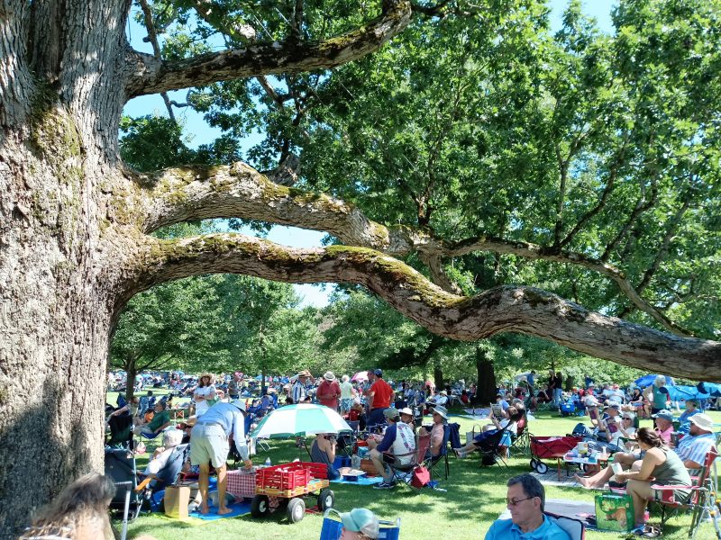Berkshires summer on the Lawn at Tanglewood; Dave Read photos.